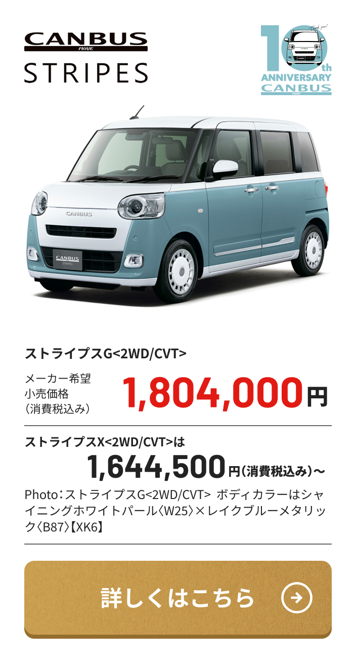 CANBUS STRIPES